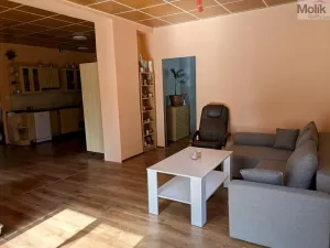 Prodej komerční nemovitosti, Litvínov - Horní Litvínov, Alešova, 506 m2