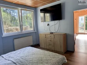 Prodej komerční nemovitosti, Litvínov - Horní Litvínov, Alešova, 506 m2