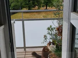 Pronájem bytu 3+1, Velká Bíteš, 92 m2