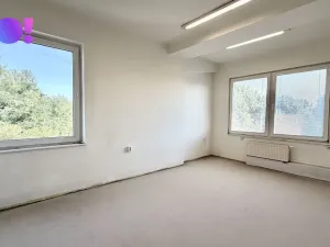Pronájem kanceláře, Havířov, Dělnická, 116 m2