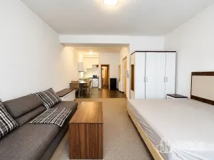 Pronájem bytu 1+kk, Karlovy Vary, Divadelní, 30 m2