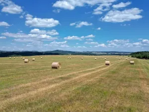 Prodej louky, Lestkov, 3263482 m2