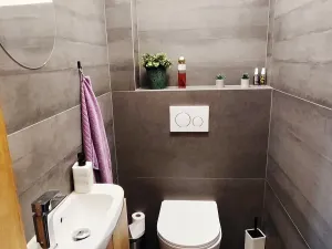 Prodej rodinného domu, Sopřeč, 105 m2