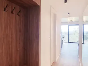 Pronájem bytu 2+kk, Brno, V rejích, 49 m2