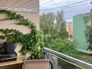 Prodej bytu 3+kk, Horní Slavkov, U Lesoparku, 64 m2