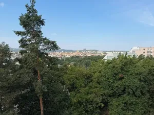 Pronájem bytu 3+1, Brno, Brožíkova, 72 m2