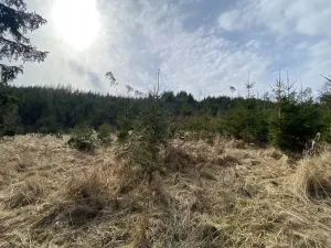 Prodej louky, Městečko Trnávka - Lázy, 1410 m2