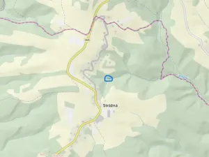 Prodej lesa, Strážná, 589 m2