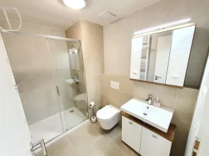 Pronájem bytu 1+kk, Beroun, U Židovského hřbitova, 46 m2