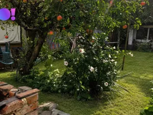 Prodej rodinného domu, Odry, Skřivánčí, 93 m2