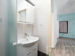 Prodej bytu 2+1, Praha - Žižkov, Loudova, 61 m2