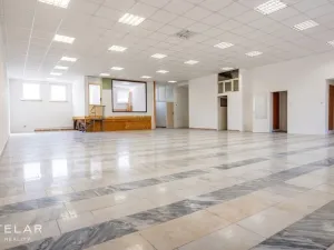 Prodej obchodního prostoru, Opava, 230 m2