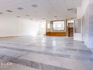 Prodej obchodního prostoru, Opava, 230 m2