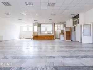 Prodej obchodního prostoru, Opava, 230 m2