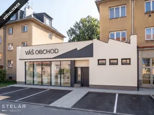 Prodej obchodního prostoru, Opava, 230 m2