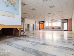 Prodej obchodního prostoru, Opava, 230 m2