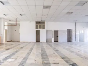 Prodej obchodního prostoru, Opava, 230 m2