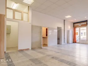 Prodej obchodního prostoru, Opava, 230 m2
