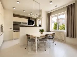 Pronájem vily, Brno, Březinova, 362 m2