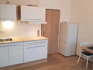 Pronájem bytu 1+kk, Brno, Jedovnická, 20 m2