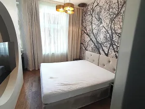 Pronájem bytu 2+kk, Praha - Vršovice, Orelská, 49 m2