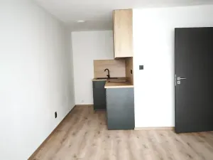 Pronájem bytu 2+kk, Most, Josefa Ševčíka, 39 m2