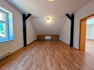 Prodej bytu 1+1, Plavy, 64 m2