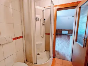 Prodej bytu 1+1, Plavy, 64 m2