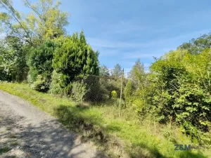 Prodej zahrady, Těšovice, 779 m2