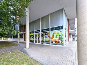 Pronájem bytu 1+kk, Praha - Kamýk, Novodvorská, 32 m2