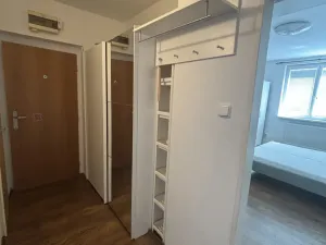 Prodej bytu 1+1, Znojmo, Pražská, 37 m2