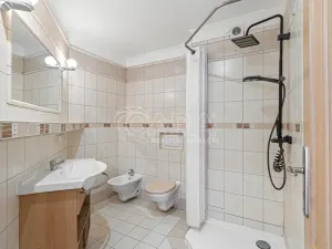 Prodej vícegeneračního domu, Litoměřice - Předměstí, Vančurova, 343 m2