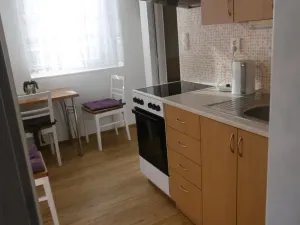 Pronájem bytu 1+1, Pardubice - Zelené Předměstí, Holcova, 33 m2