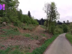 Prodej lesa, Liptál, 105864 m2