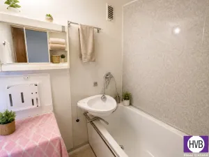 Prodej bytu 3+kk, Mladá Boleslav, Palackého, 78 m2