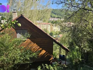 Prodej chaty, Vsetín, Amerika, 34 m2