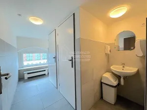 Pronájem kanceláře, Praha - Karlín, Thámova, 17 m2
