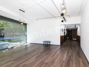 Prodej obchodního prostoru, Praha - Karlín, Karolinská, 59 m2