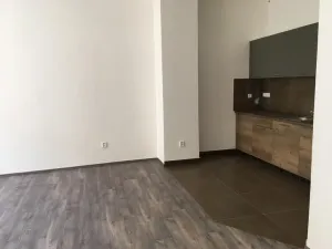 Pronájem bytu 2+kk, Teplice, 69 m2