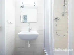 Pronájem bytu 3+kk, Praha - Žižkov, Lupáčova, 62 m2