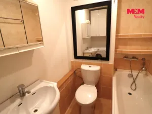 Prodej bytu 1+1, Most, Moskevská, 27 m2