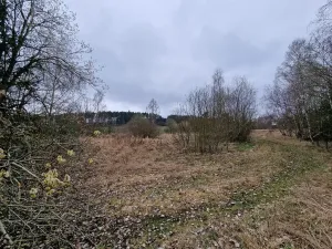 Prodej podílu pozemku pro bydlení, Bělčice, 34980 m2