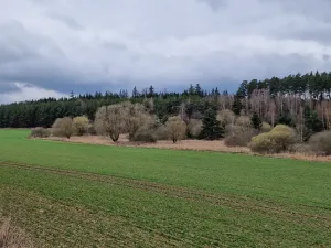 Prodej podílu pozemku pro bydlení, Bělčice, 34980 m2