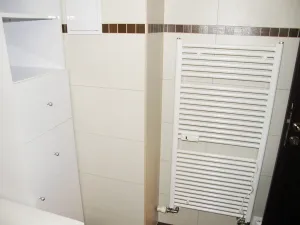Pronájem bytu 3+kk, Plzeň, Studentská, 75 m2