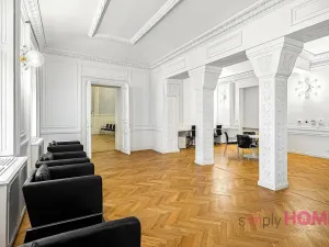 Pronájem komerční nemovitosti, Praha - Staré Město, Krocínova, 176 m2