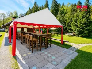 Prodej ubytování, Krucemburk, 21872 m2