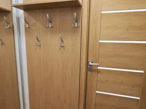 Pronájem bytu 1+1, Ostrava, Bohumínská, 25 m2