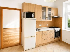Pronájem bytu 1+kk, Praha - Žižkov, Vlkova, 44 m2