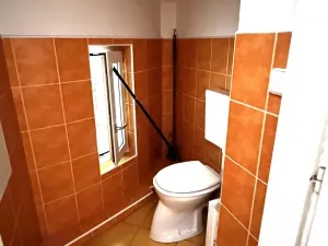 Pronájem bytu 1+kk, Praha - Žižkov, Vlkova, 44 m2