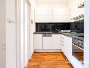 Pronájem bytu 2+1, Praha - Bubeneč, Národní obrany, 46 m2